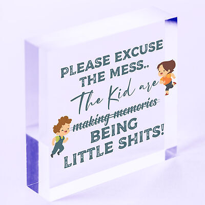 Please Excuse The Mess Novelty Wooden Hanging Plaque Parents Gift Kids Sign