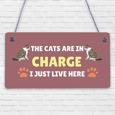 The Cats Are In Charge Hanging Sign Funny Cat Gift Home Decor Gift For Women