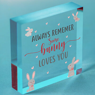 Some Bunny Loves You Novelty Wooden Hanging Heart Plaque Love Anniversary Gift