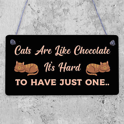 Cats Are Like Chocolate Funny Pet Diet Gift Wood Hanging Plaque Friendship Sign