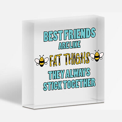 Best Friends Like Fat Thighs Novelty Hanging Plaque Friendship GIft Friend Sign