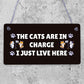 The Cats Are In Charge Hanging Sign Funny Cat Gift Home Decor Gift For Women