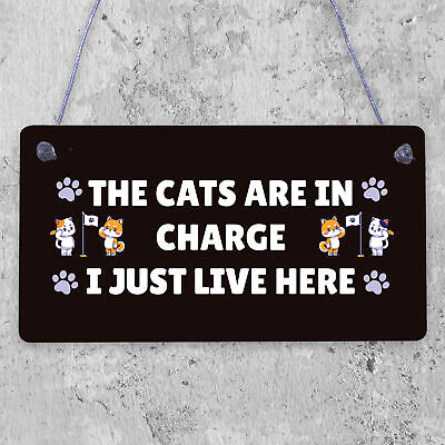 The Cats Are In Charge Hanging Sign Funny Cat Gift Home Decor Gift For Women