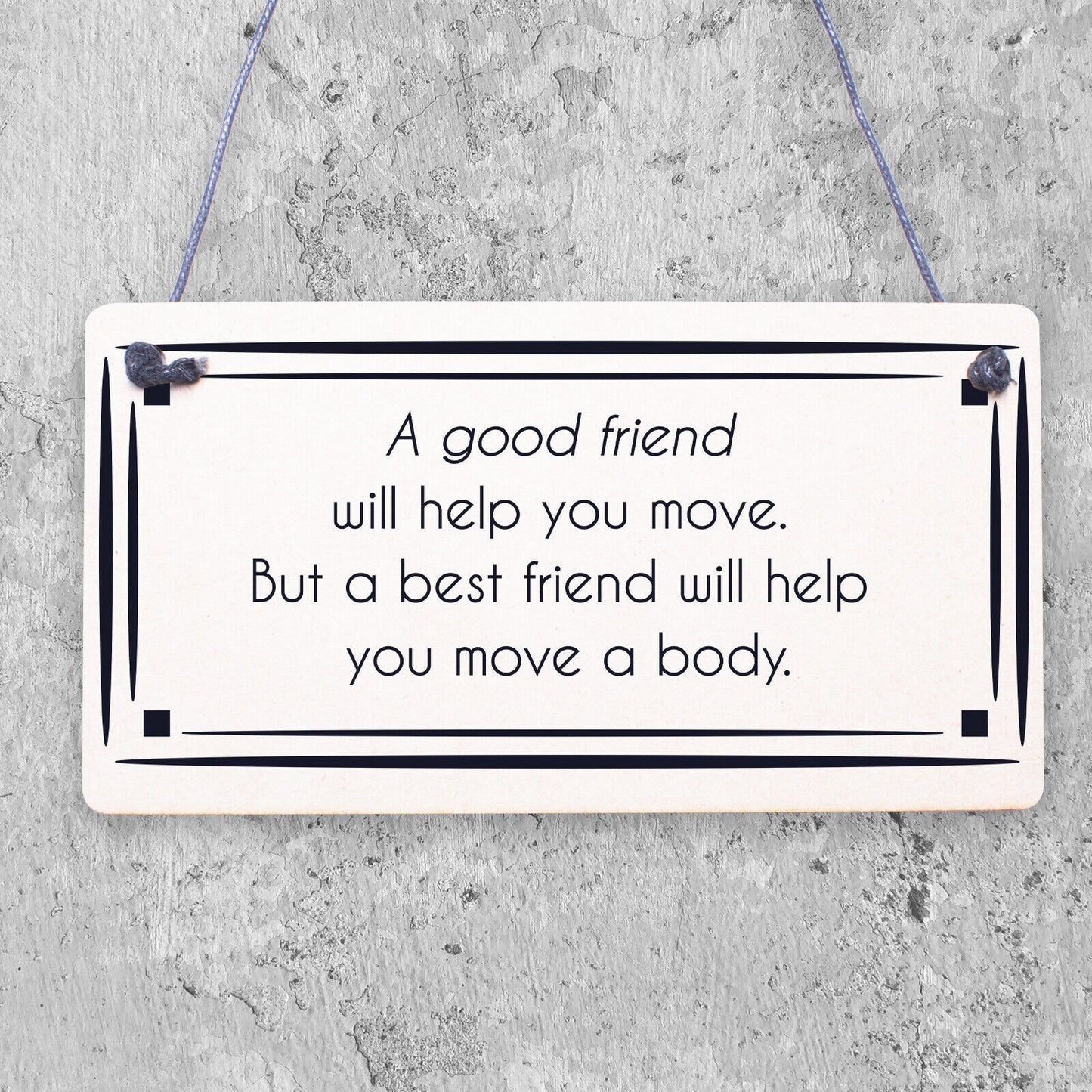 Best Friend Sign Friendship Gift Funny Thank You Novelty Birthday Chic Plaque