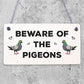 Beware Of The Pigeons Novelty Wooden Hanging Shabby Chic Plaque Bird Sign Gift