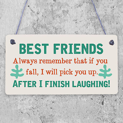 BEST FRIEND - I Will Pick You Up After I Finish Laughing! Friendship Gift Plaque