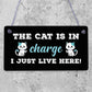 Cat Sign Funny Cat Gift For Cat Lovers Hanging Wood Sign For Home Animal Sign