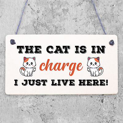 Cat Sign Funny Cat Gift For Cat Lovers Hanging Wood Sign For Home Animal Sign