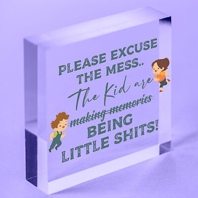 Please Excuse The Mess Novelty Wooden Hanging Plaque Parents Gift Kids Sign