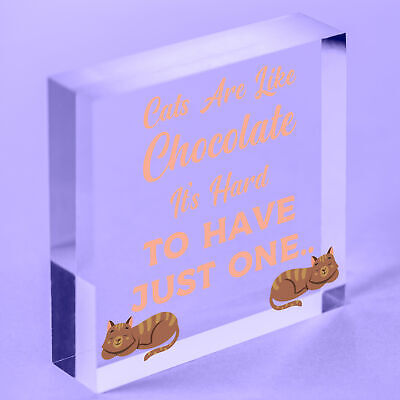 Cats Are Like Chocolate Funny Pet Diet Gift Wood Hanging Plaque Friendship Sign