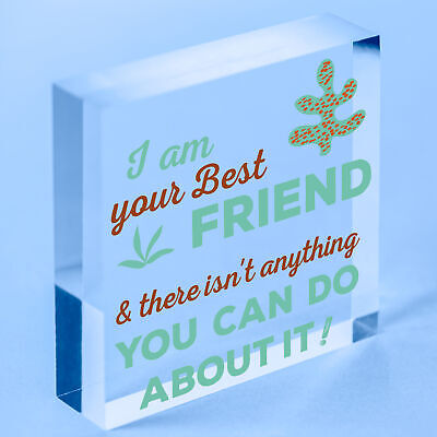 Best Friend Wood Sign FRIENDSHIP GIFT Birthday Christmas Thank You Keepsake