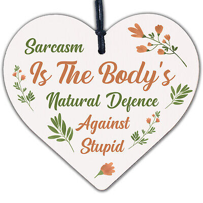 Sarcasm Against Stupid Novelty Wooden Hanging Heart Plaque Friendship Funny Sign