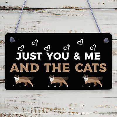 You Me And The Cats Sign Home Funny Crazy Cat Lady Sign Pet Lover Gifts