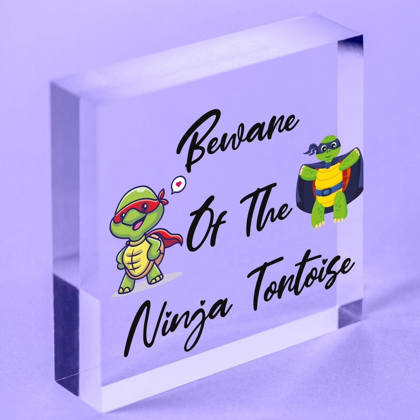 Beware Of The Ninja Tortoise Hanging Plaque Reptile Tank Door Gate Sign Garden