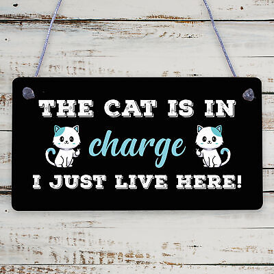 Cat Sign Funny Cat Gift For Cat Lovers Hanging Wood Sign For Home Animal Sign