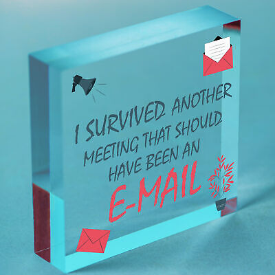 Survived The Meeting Funny Novelty Colleague Gift Wooden Heart Work Plaque Sign