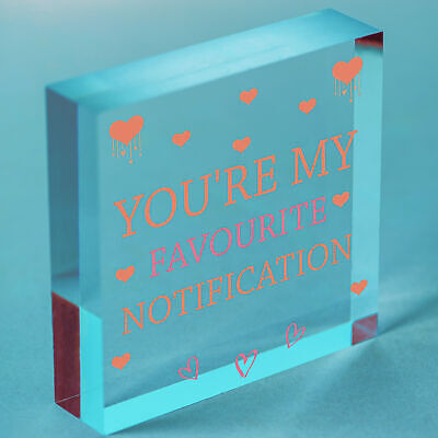 Novelty Valentines Gift For Boyfriend Girlfriend Anniversary Gift Funny Cute