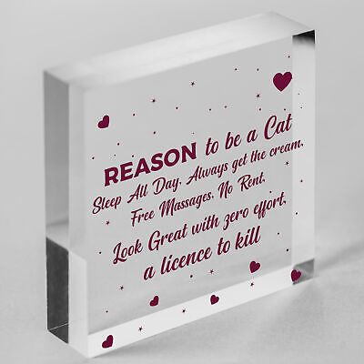 Reasons To Be A Cat Novelty Wooden Hanging Heart Shabby Chic Friendship Gift