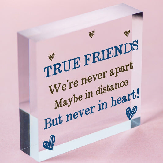 True Friends Never Apart Cute Wooden Hanging Plaque Gift Best Friends Love Sign