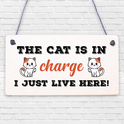 Cat Sign Funny Cat Gift For Cat Lovers Hanging Wood Sign For Home Animal Sign