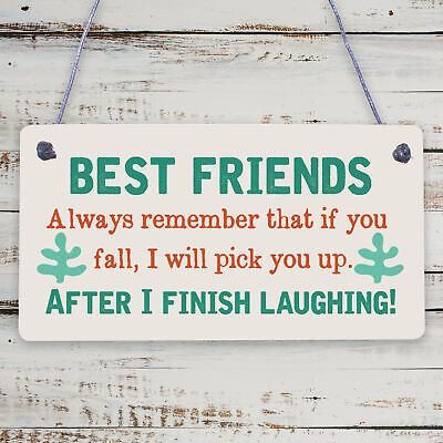 BEST FRIEND - I Will Pick You Up After I Finish Laughing! Friendship Gift Plaque