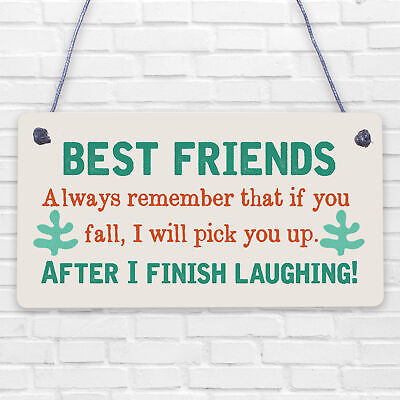 BEST FRIEND - I Will Pick You Up After I Finish Laughing! Friendship Gift Plaque