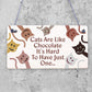 Cats Are Like Chocolate Funny Pet Diet Gift Wood Hanging Plaque Friendship Sign