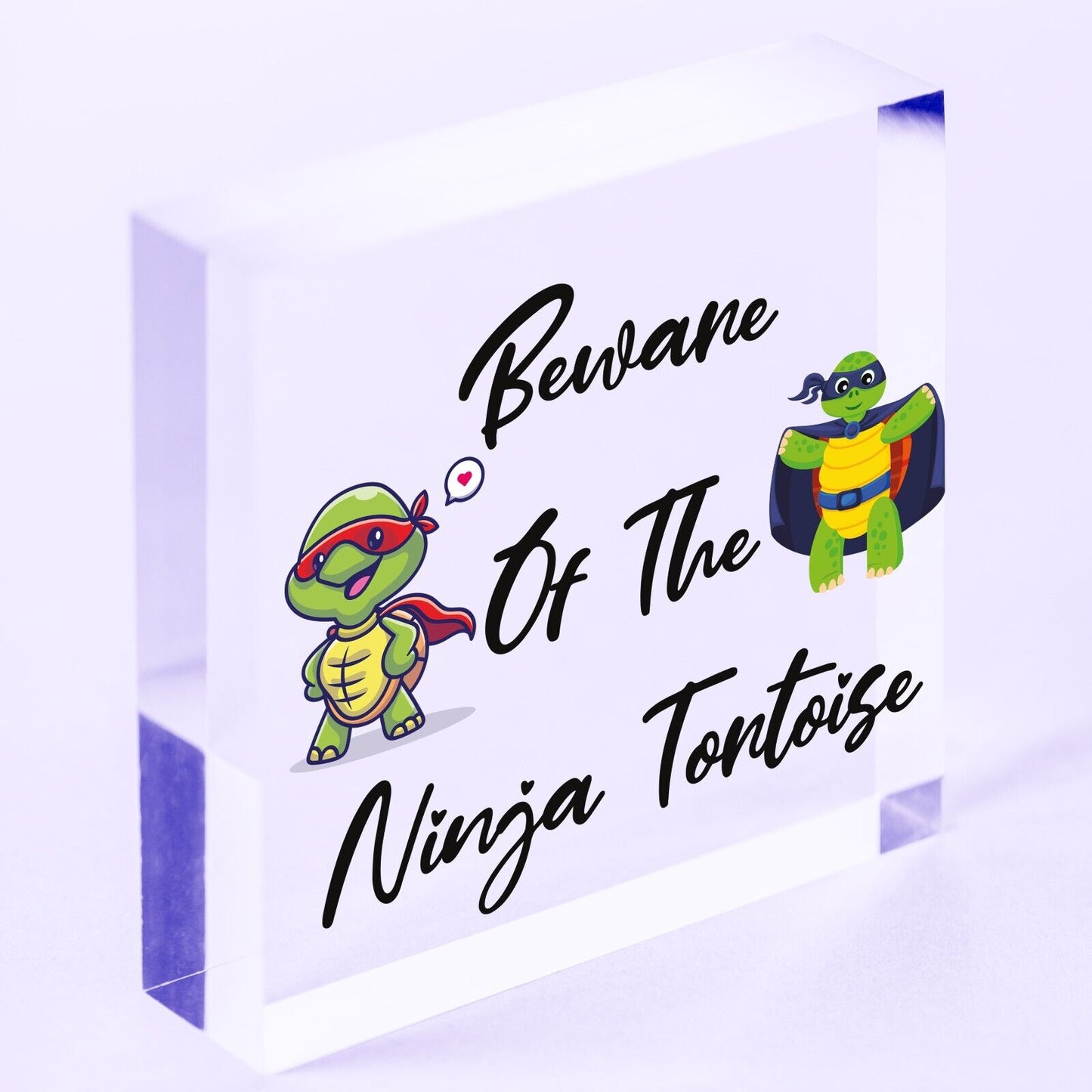 Beware Of The Ninja Tortoise Hanging Plaque Reptile Tank Door Gate Sign Garden