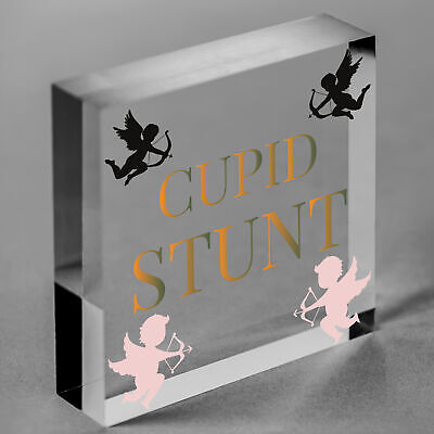 Cupid Stunt Funny Man Cave Home Bar Shed Pub Hanging Plaque Friendship Gift Sign