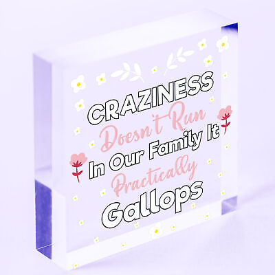 Craziness Gallops In Our Family Wooden Hanging Heart Novelty Families Plaque