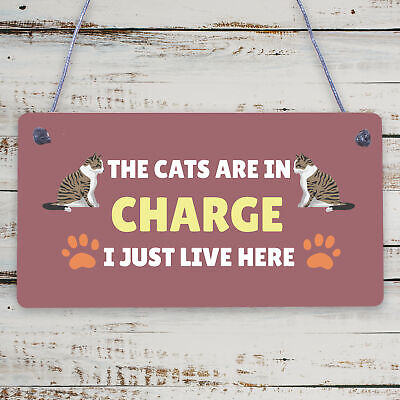 The Cats Are In Charge Hanging Sign Funny Cat Gift Home Decor Gift For Women