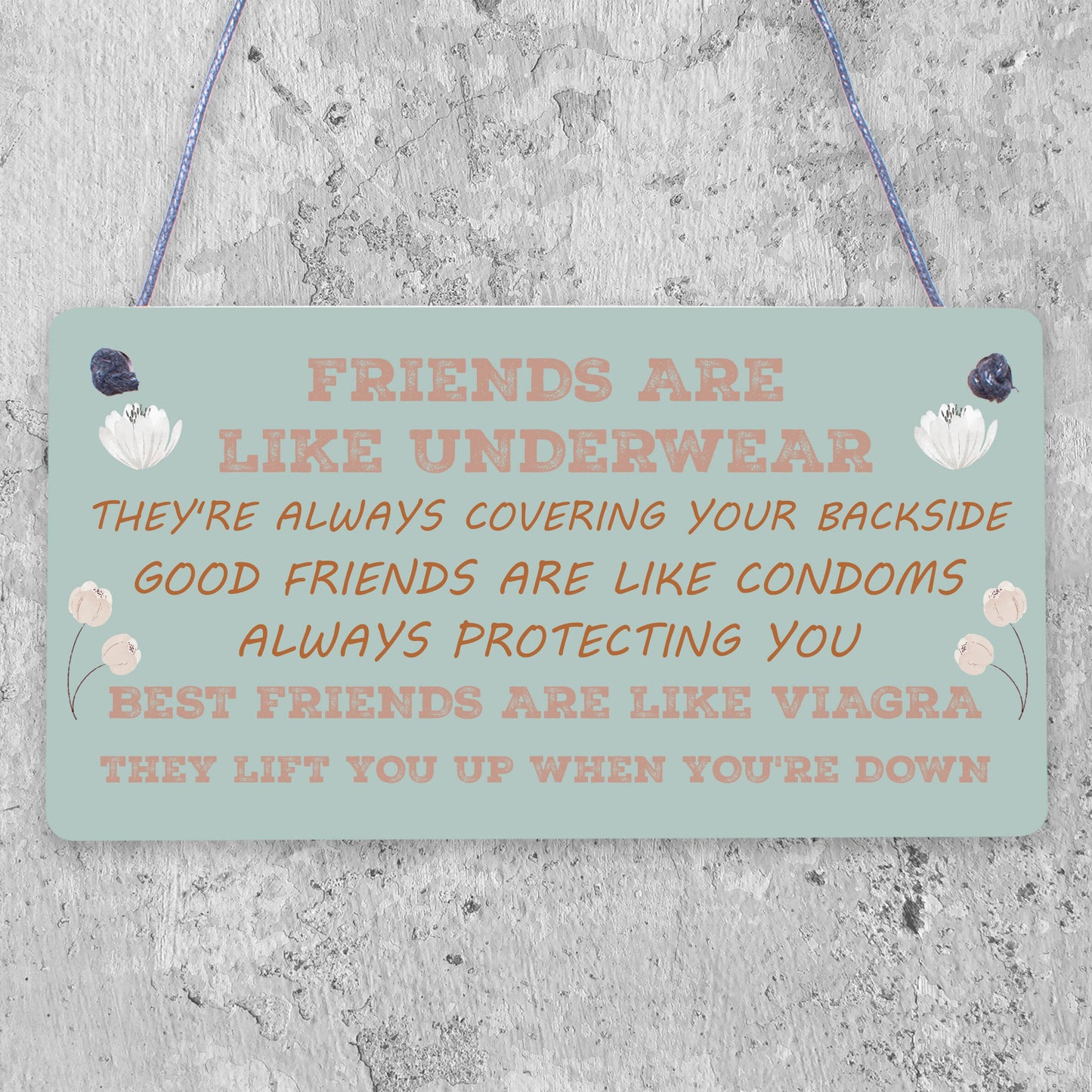 FUNNY Best Friend Gift Best Friend Sign Friendship Gift Thank You Birthday Gift