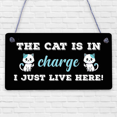 Cat Sign Funny Cat Gift For Cat Lovers Hanging Wood Sign For Home Animal Sign