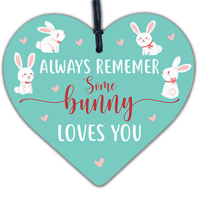 Some Bunny Loves You Novelty Wooden Hanging Heart Plaque Love Anniversary Gift