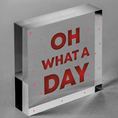 OH WHAT A DAY Funny Hanging Home Decor Bar Home Sign Office Decor Gifts