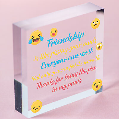 Best Friend Gifts Funny Acrylic Heart Friendship Gift Best Friend Birthday Xmas