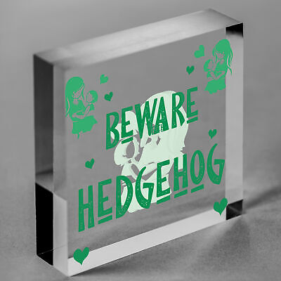 Beware Of The Hedgehog Novelty Wooden Hanging Shabby Chic Plaque Animal Sign