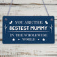 Bestest Mummy In The World Wooden Hanging Plaque Love Sign Mothers Day Gift