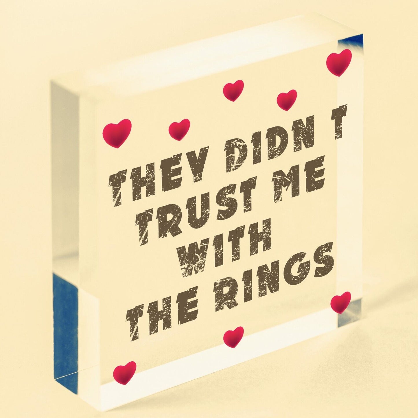 Wedding Decoration Didn't Trust Me Page Boy Reception Decor Mr & Mrs Gift