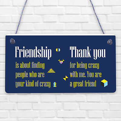 Crazy Friendship Sign Best Friend Hanging Plaque Thank You Family Birthday Gift