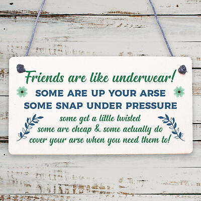 Best Friend Funny Gifts Shabby Chic Plaque Birthday Christmas Gifts For Her