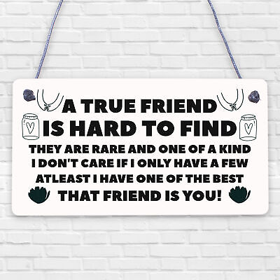 Special Gift For Friend Birthday Christmas Best Friend Plaque Friendship Sign