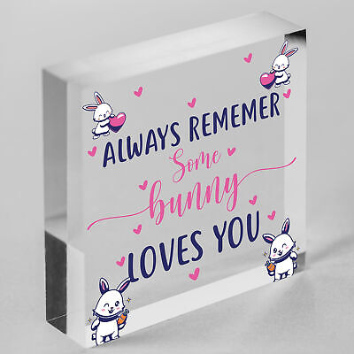 Some Bunny Loves You Novelty Wooden Hanging Heart Plaque Love Anniversary Gift