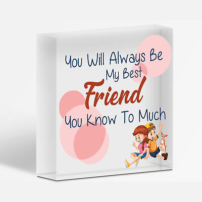 Best Friend You Know Too Much Novelty Wooden Hanging Plaque Friendship Sign Gift