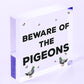 Beware Of The Pigeons Novelty Wooden Hanging Shabby Chic Plaque Bird Sign Gift