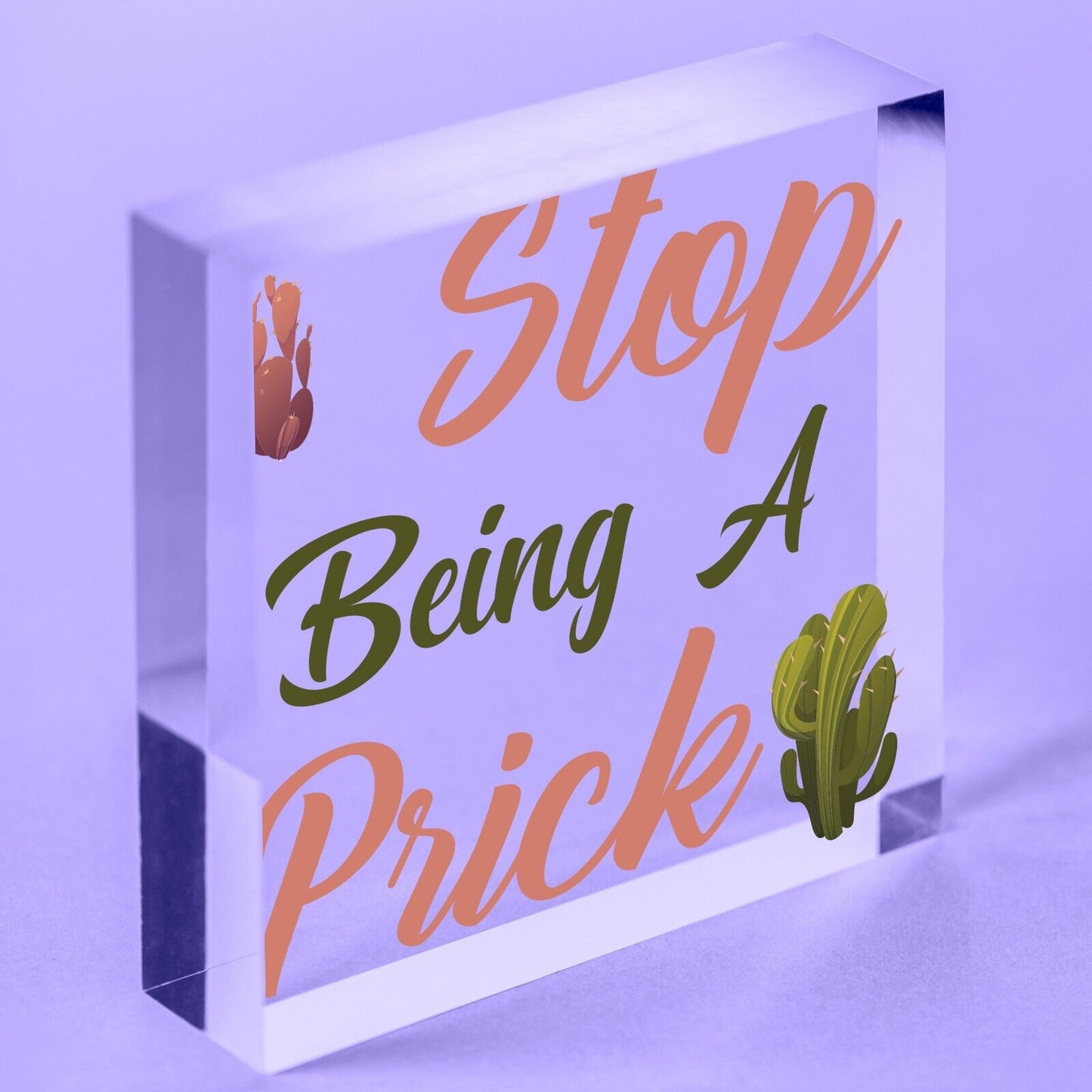 Stop Being A Prick Cactus Funny Present Wood Hanging Plaque Friendship Gift Sign