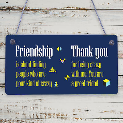 Crazy Friendship Sign Best Friend Hanging Plaque Thank You Family Birthday Gift