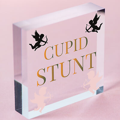 Cupid Stunt Funny Man Cave Home Bar Shed Pub Hanging Plaque Friendship Gift Sign