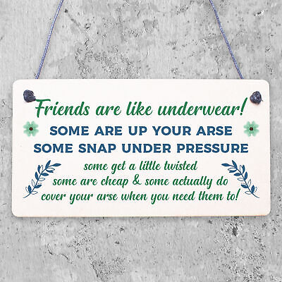 Best Friend Funny Gifts Shabby Chic Plaque Birthday Christmas Gifts For Her