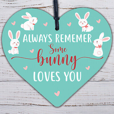 Some Bunny Loves You Novelty Wooden Hanging Heart Plaque Love Anniversary Gift